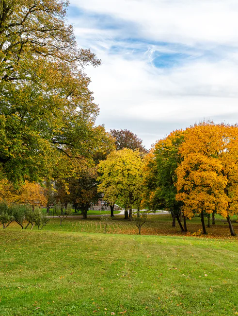 autumn in park am see